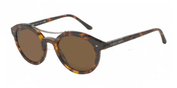 Giorgio Armani AR8007 501157 Sunglasses | Visual-Click