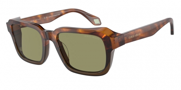 Giorgio Armani AR8194U 598814 Sunglasses | Visual-Click