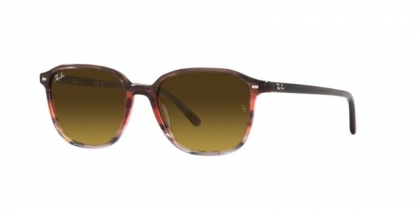 RAY-BAN LEONARD RB2193 STRIPED BROWN GRADIENT RED