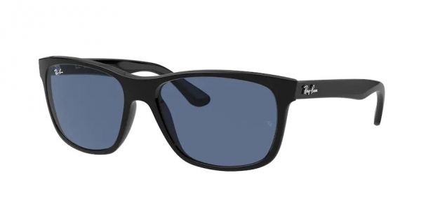 Ray Ban Sunglasses RB4181 606/71 | Visual-Click