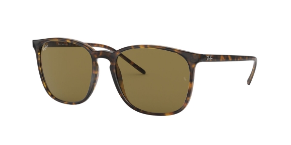 Ray Ban Sunglasses RB4387 601/71 | Visual-Click