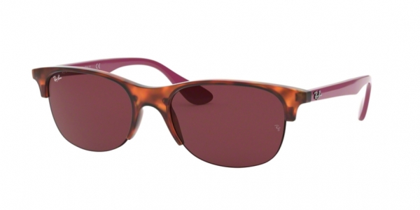 RAY-BAN RB4419 RUBBER RED HAVANA