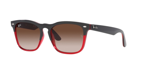 RAY-BAN RB4487 STEVE GREY ON TRANSPARENT RED