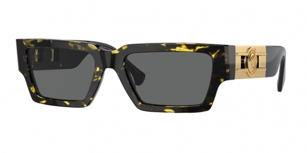 Versace Sunglasses VE4459 GB1 87 Visual Click