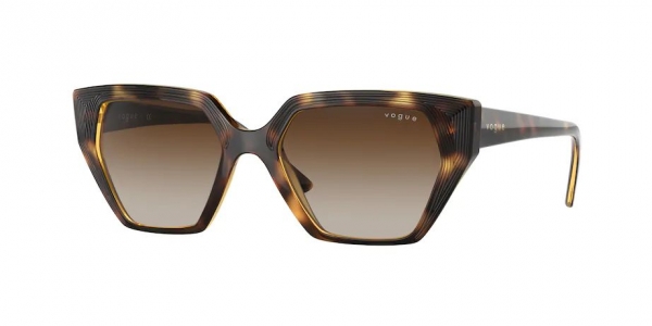 vogue eyewear dark havana